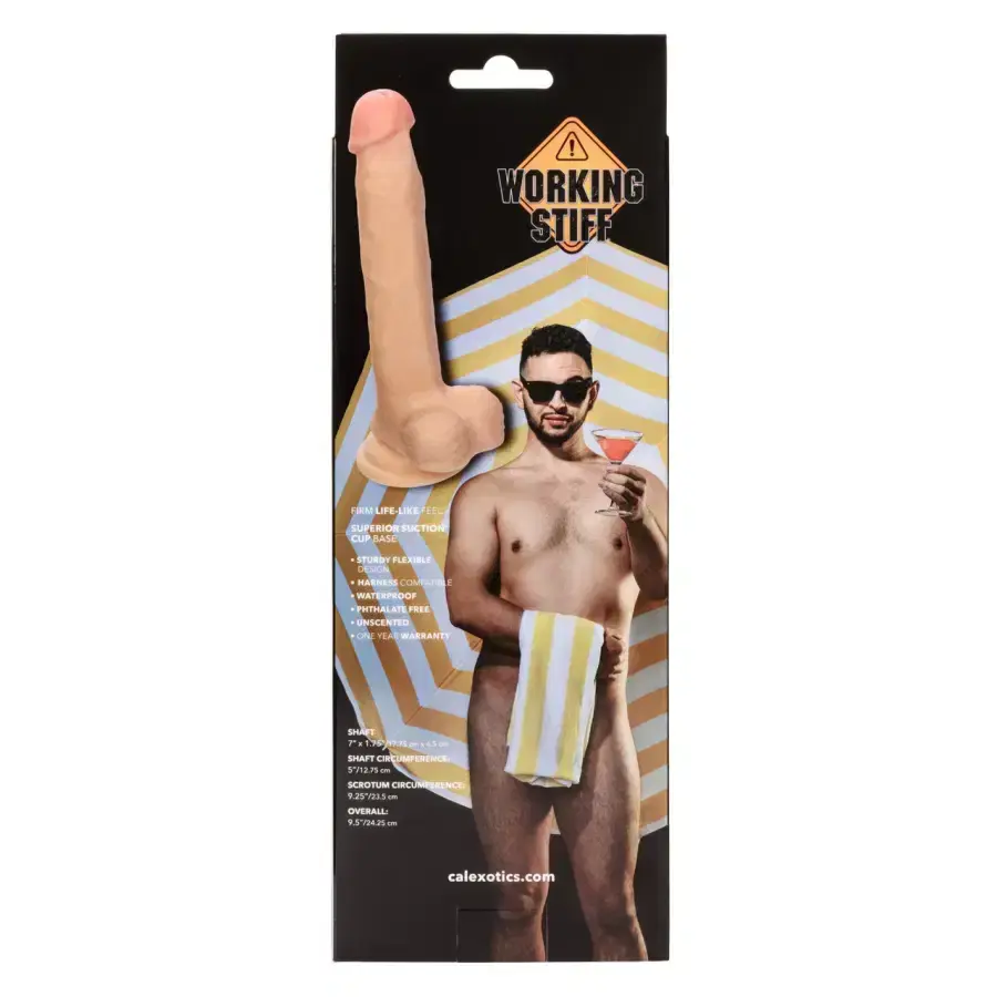 Thumbnail: Working Stiff The Cabana Boy