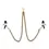 Thumbnail: nipple clamps in with gold chain