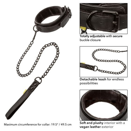 Thumbnail: Boundless Collar & Leash