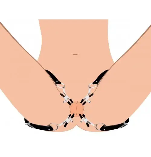 Master Series Spread XL Labia Spreader Straps