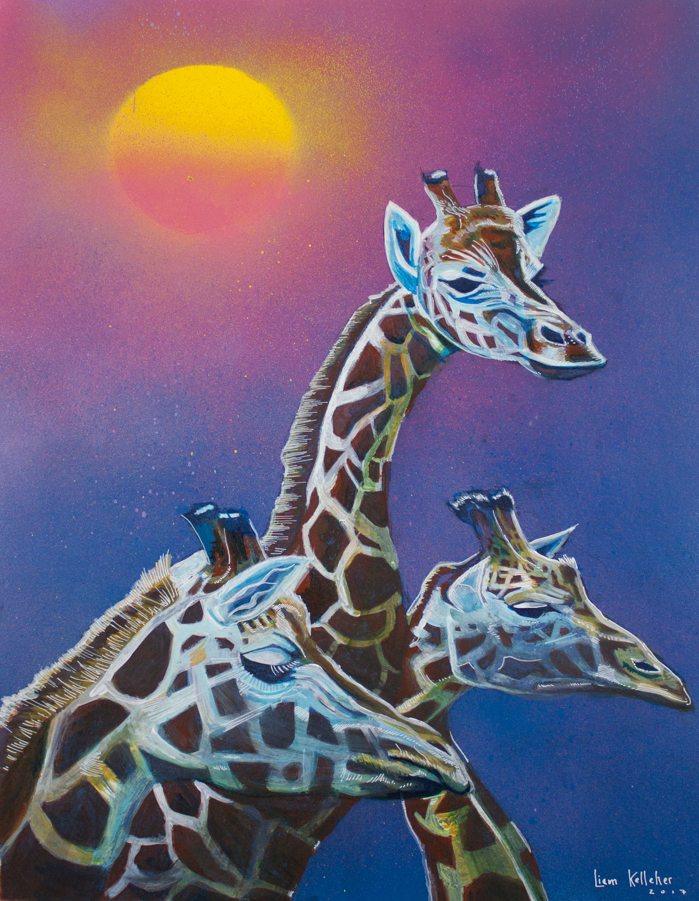 Giraffes