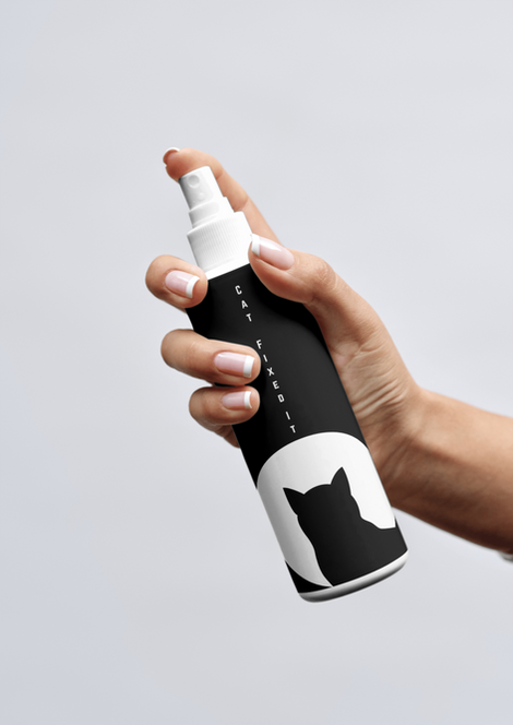 Product Mock Up