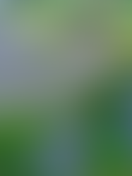 Ireland hited 2 GW installed solar milestone in 2025