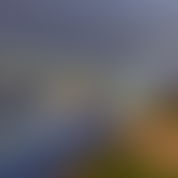 Inauguration of a 2.4 MWp agrivoltaic canopy on large organic crops