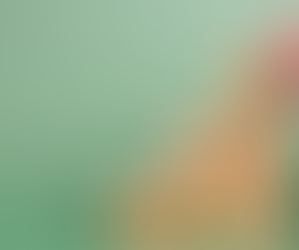 South Africa Considers Tariff Increase On PV Modules Amid Industry Challenges