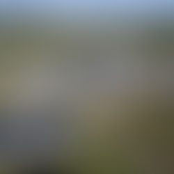 NREL advances green hydrogen production method