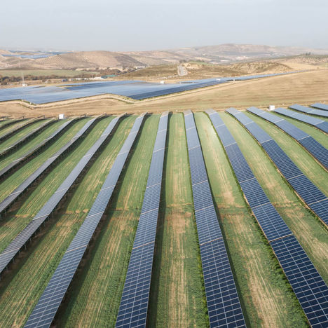 BayWa r.e. Launches Agricultural Activities at Alhendín Solar Park in Granada, Spain