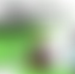 "𝙉𝙤𝙬, 𝙬𝙝𝙚𝙧𝙚 𝙨𝙝𝙤𝙪𝙡𝙙 𝙬𝙚 𝙥𝙡𝙖𝙣𝙩 𝙩𝙝𝙚 𝙧𝙚𝙣𝙚𝙬𝙖𝙗𝙡𝙚 𝙚𝙣𝙚𝙧𝙜𝙮 𝙛𝙪𝙩𝙪𝙧𝙚?" 