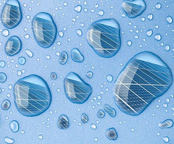 Solar Innovation in Hong Kong: Bio-Inspired Design Boosts Perovskite Cell Durability