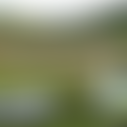 UK: £50,000 Copper Cable Stolen from East Lothian Wind Farm