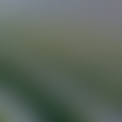 700 MW of PV Projects Taken on by German Utility