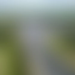 DAS Solar Expands Global Footprint with 230MW Projects in Germany