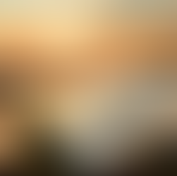 Dubai's DEWA CEO Engages in Talks on Renewable Energy Collaboration With UK Consul General