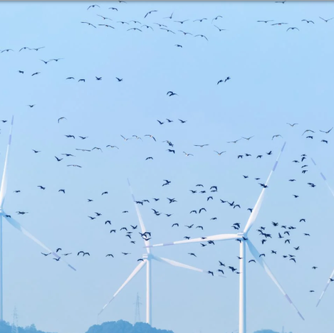 Netherlands Nearly Doubles Climate Investments Over Four Years, Reaching €41 Billion 