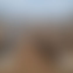 CIP to develop over 1800MW of renewable projects in South Asia