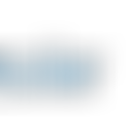 Trina Solar builds PV factory for stronger N-type value