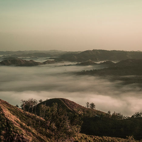 Solar-Powered Tourism: How Bohol's Renewable Energy Fuels Ecotourism Growth