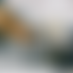 Australia announces new policy to subsidise renewable energy manufacturing