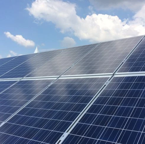 Octopus Energy Invests in South Korean Solar Developer for 140 MW Rollout