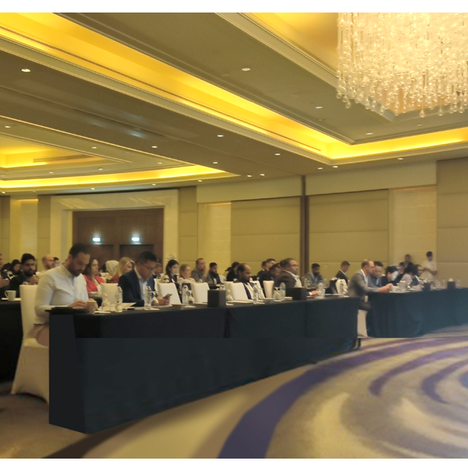 Review ：Solar Energy Storage Future MENA 2024