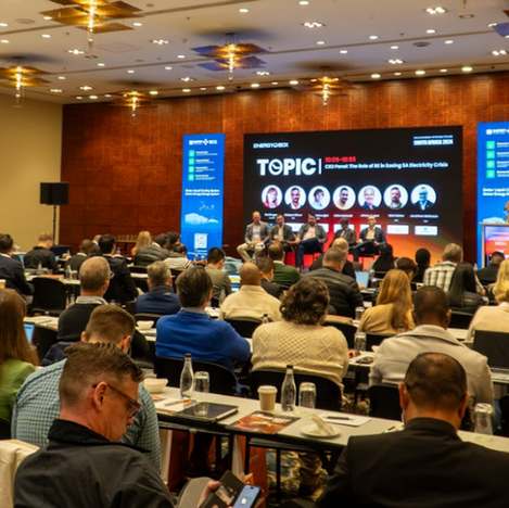 Review ：Solar Energy Storage Future South Africa 2024