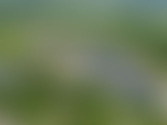 DAS Solar and TR Energia Complete 8.6 MW Solar Projects in Brazil