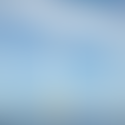 South Australia's scrapped offshore wind projects in focus as election loomsBy Sam BradbrookABC South East SA