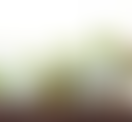 EBRD Grants €25 Million Loan to Enhance Green Investments in Turkey