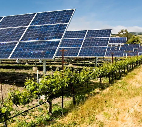 Renantis launches crowdfunder for Italian agrivoltaic site