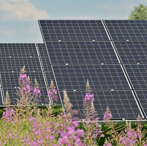 Acciona Energia acquires 80% share in Philippines’ Freya Renewables