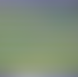 NextEnergy Solar Sells 50 MW Solar Farm in Strategic Asset Disposal