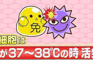 風邪ってやつは、お風呂に入ると酷くなる|風呂が風邪を酷くする根本的な要因じゃない