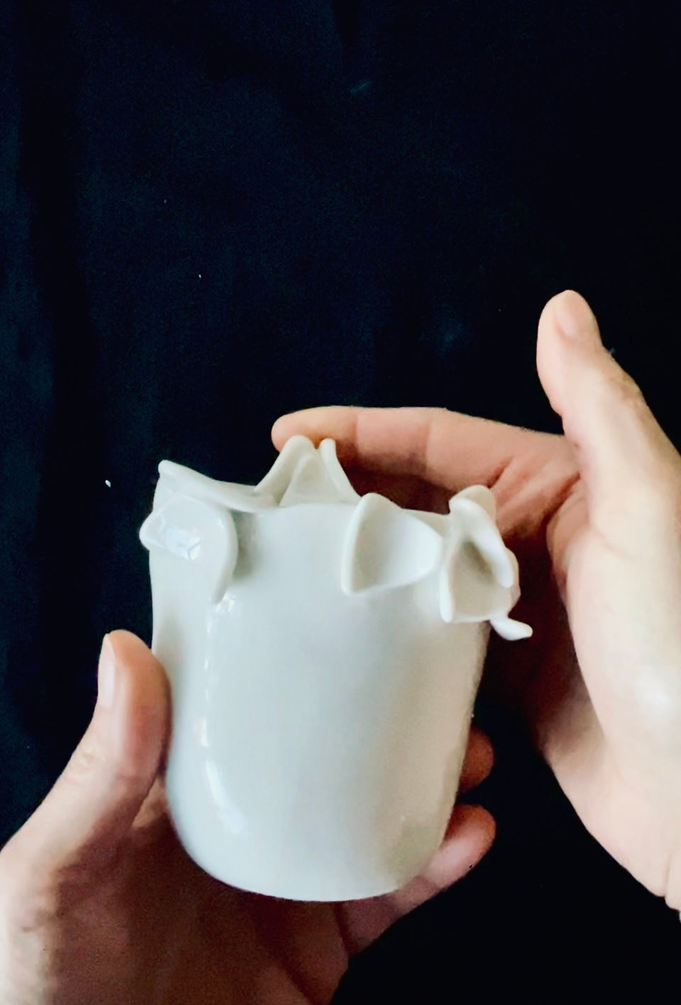 Miniature : Collection Éclosion