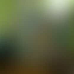 8 марта- день чудес