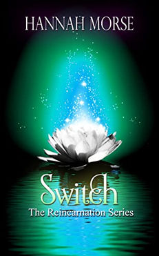 switch.jpeg