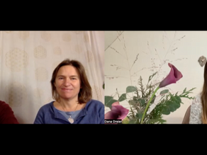 Interview mit Dana Dreier