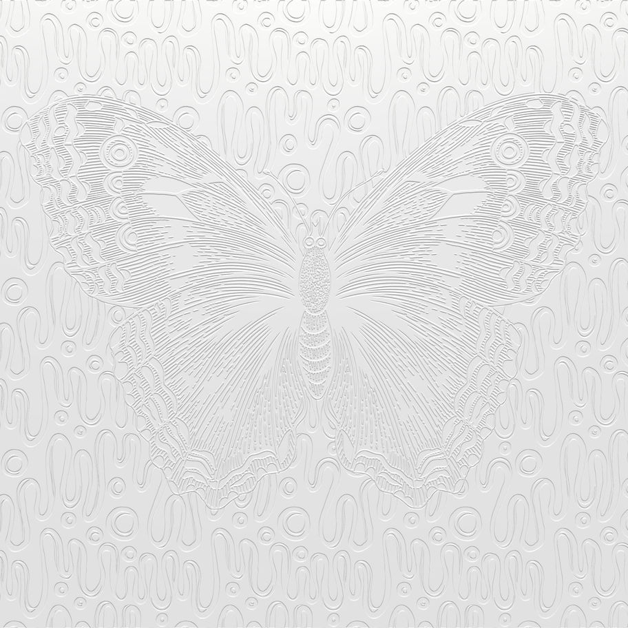 DP-0283 - Paintable wall décor with surface structure