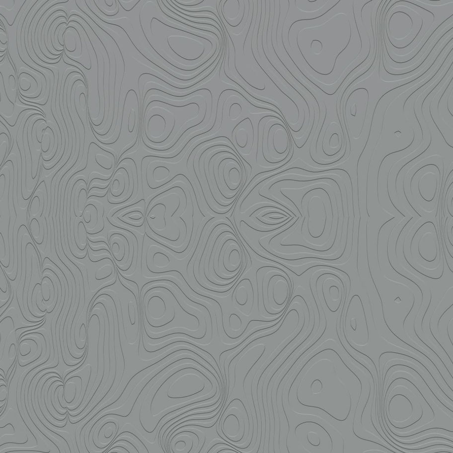 DP-0238 - Paintable wall décor with surface structure