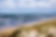 Baltic sea