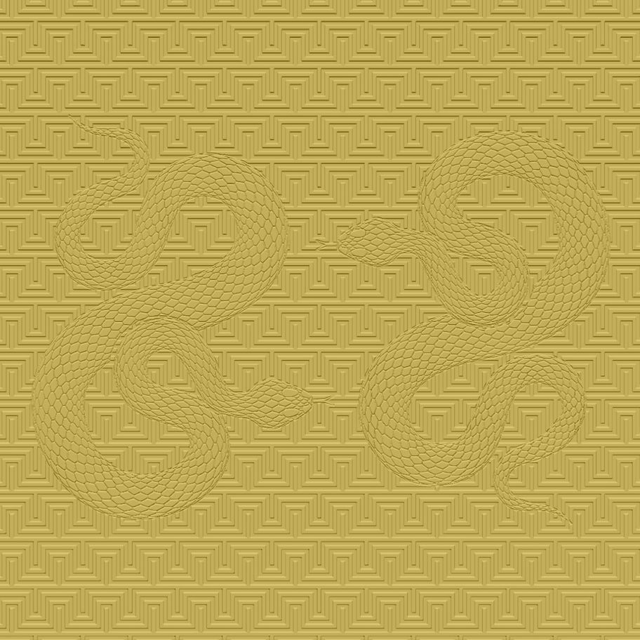 DP-0157 - Paintable wall décor with surface structure