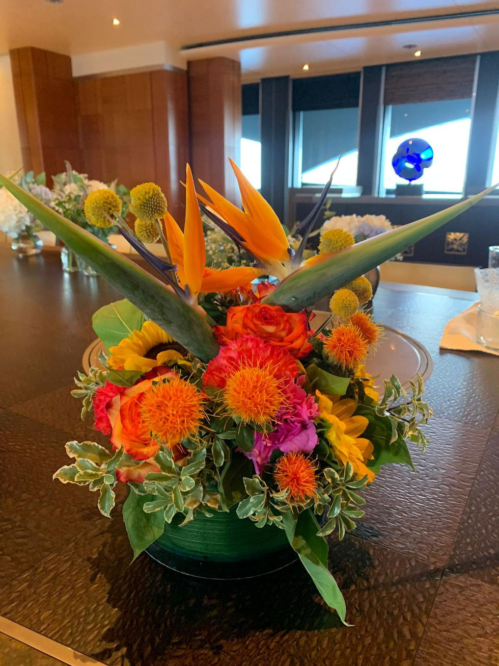 WhatsApp Image 2026-01-26 at 10.11.32 (9)