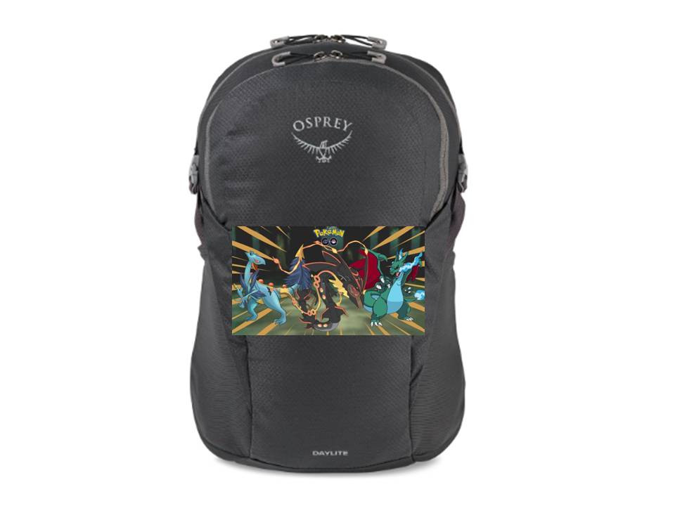Pokemon bag