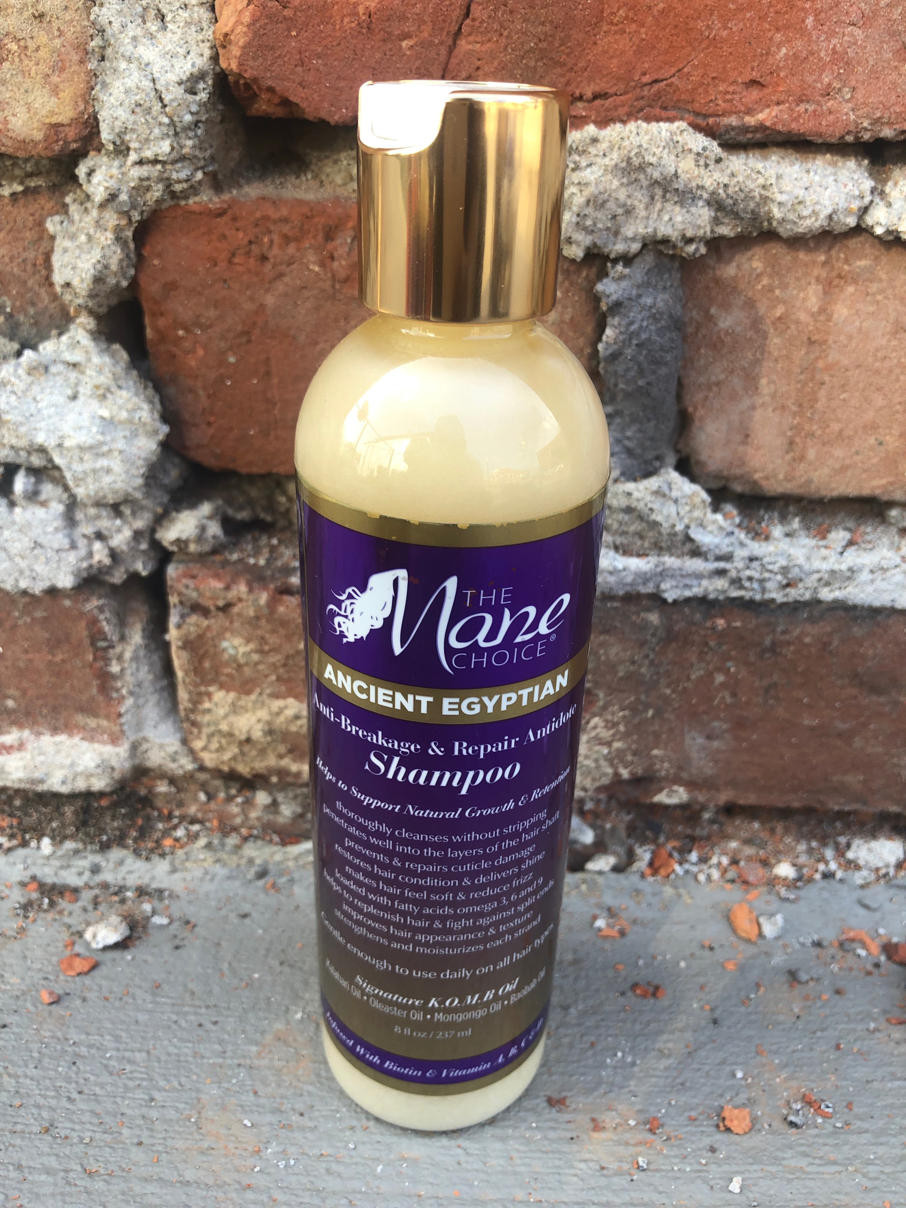 The Mane Choice Ancient Egyptian Anti Breakage Repair Antidote
