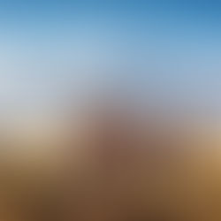 5 Razones para Elegir Micato Safaris