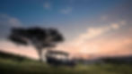 Kleins-camp-serengeti-game-drive.jpg