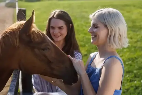 horse-country-tour3-768x546.webp