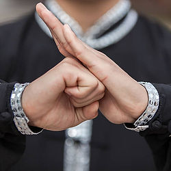 Pratique du Qi Gong pour la souplesse et la gestion des émotions à Bry-sur-Marne.