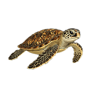 Hessa the Sea Turtle