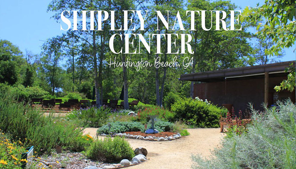 Shipley Nature Center Playdate