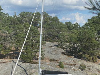 2021-08-04 00.28.51-1.JPG